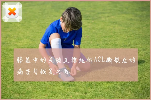 膝盖中的关键支撑结构ACL撕裂后的痛苦与恢复之路